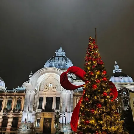 公寓 History Museum 2 布加勒斯特